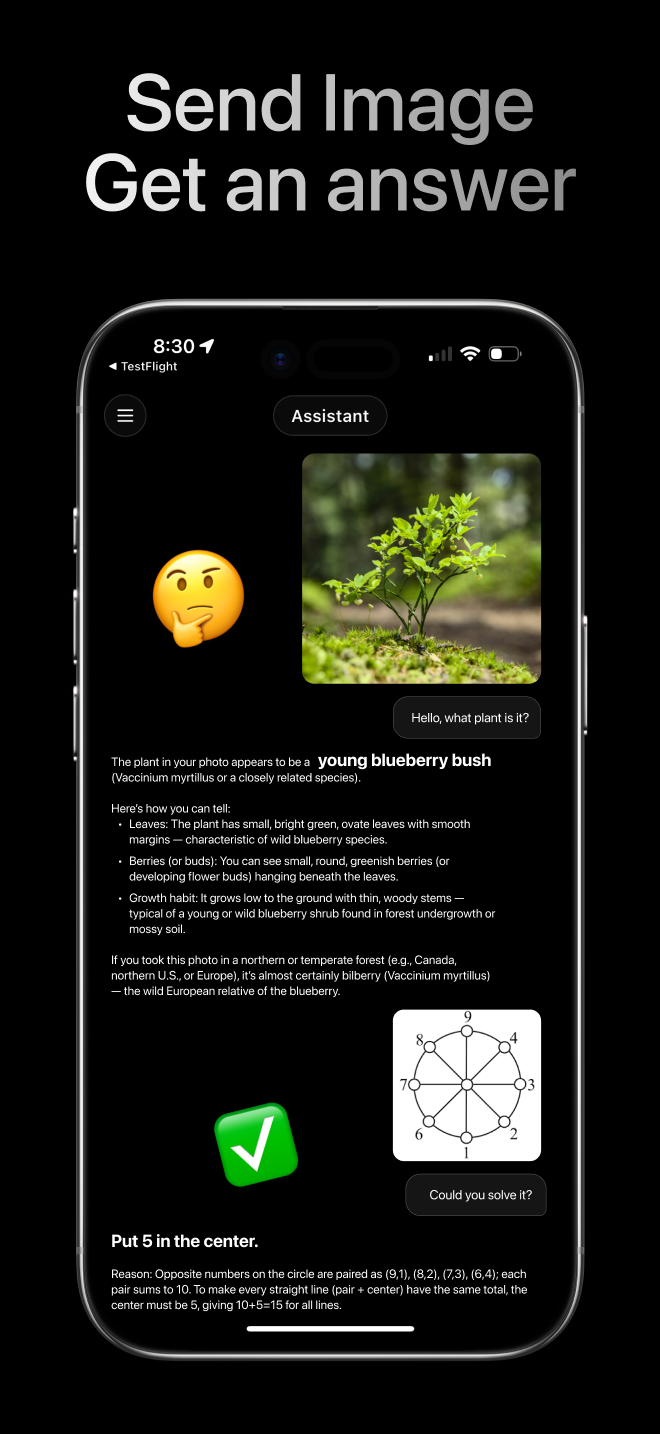 Smart Assistant demo slide 8